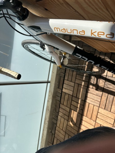 Proathlon Carbon Rennrad - dein Ticket zur Hochgeschwindigkeit