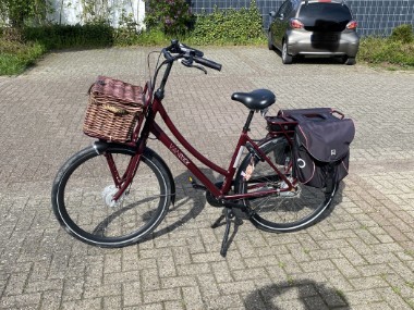 Van Dijck Aphrodite